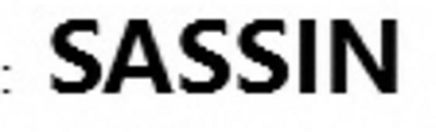 SASSIN