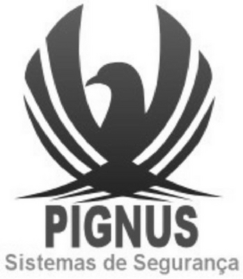 PIGNUS SISTEMAS DE SEGURANÇA