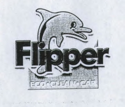 FLIPPER ECO-CLEAN-CAR