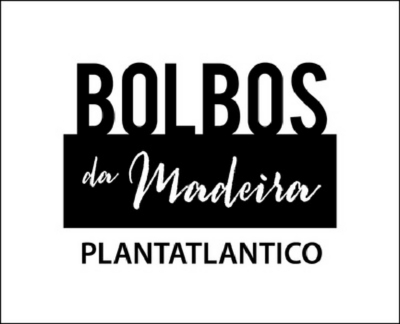 PLANTATLANTICO - BOLBOS DA MADEIRA