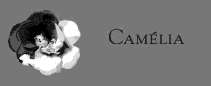 CAMÉLIA