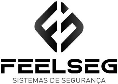 FEELSEG SISTEMAS DE SEGURANÇA