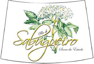 FLÔR DE SABUGUEIRO SERRA DA ESTRELA