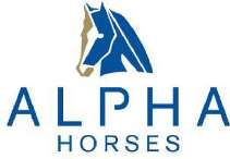 ALPHA HORSES