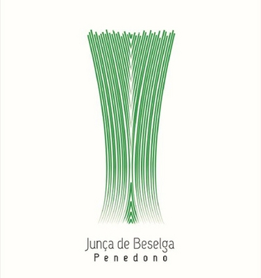 JUNÇA DE BESELGA PENEDONO