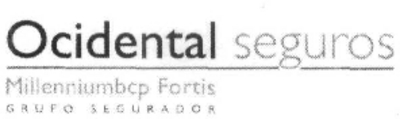 OCIDENTAL SEGUROS MILLENNIUMBCP FORTIS GRUPO SEGURADOR