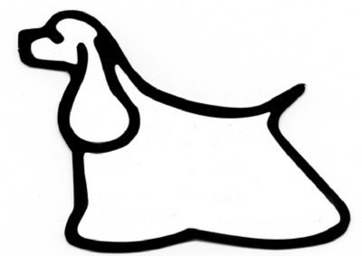 PET SHOP LIMA