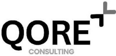 QORE CONSULTING
