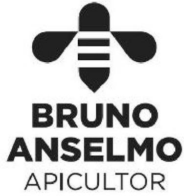 BRUNO ANSELMO APICULTOR