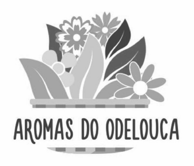 AROMAS DO ODELOUCA