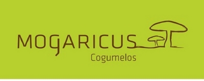 MOGARICUS COGUMELOS