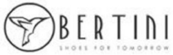 BERTINI