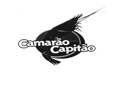 CAMARÃO CAPITÃO