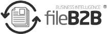FILEB2B BUSINESS INTELLIGENCE