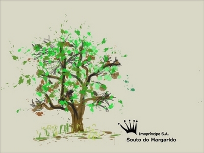 IMOPRÍNCIPE, S.A.  SOUTO DO MARGARIDO