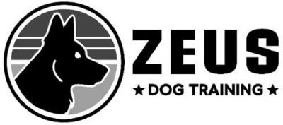 ZEUS DOG TRAINING