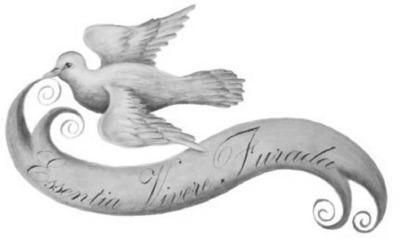ESSENTIA VIVERE FURADA