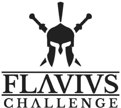 FLAVIUS CHALLENGE
