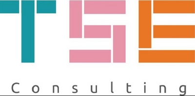 TSE CONSULTING