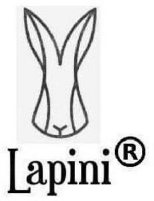LAPINI