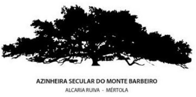 AZINHEIRA SECULAR DO MONTE BARBEIRO - ALCARIA RUIVA - MÉRTOLA