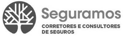 SEGURAMOS CORRETORES E CONSULTORES DE SEGUROS