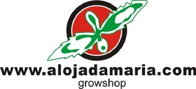ALOJADAMARIA