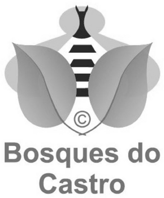 BOSQUES DO CASTRO