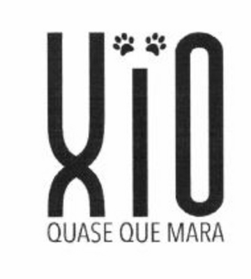 XIO QUASE QUE MARA
