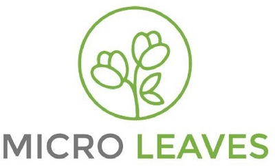MICRO LEAVES