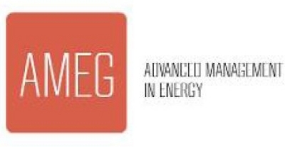 AMEG ADVANCED MANAGEMENT IN ENERGY
