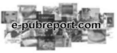 E-PUBREPORT.COM
