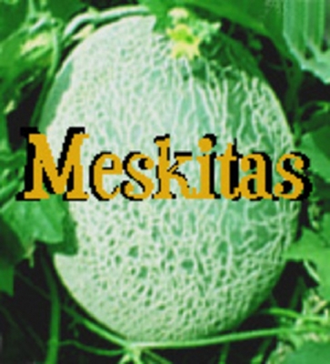 MESKITAS