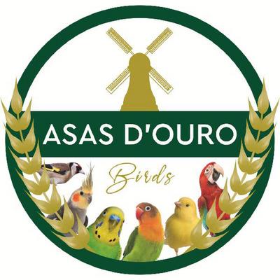 ASAS D'OURO  BIRDS