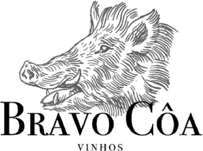 BRAVO CÔA VINHOS