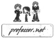 PROFESSOR.NET