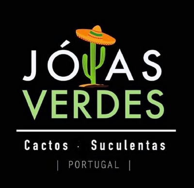 JÓIAS VERDES CACTOS SUCULENTAS PORTUGAL