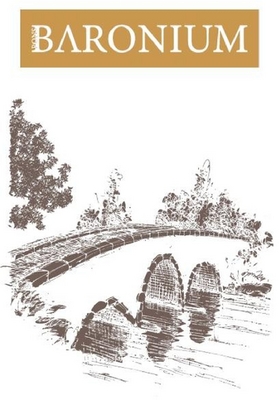 PONS BARONIUM