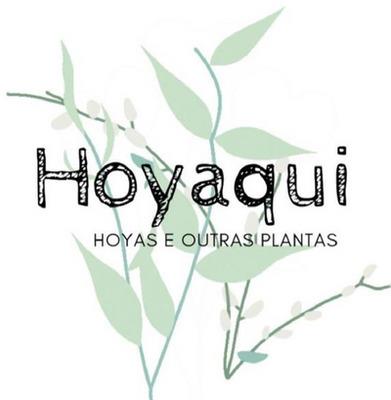 HOYAQUI HOYAS E OUTRAS PLANTAS