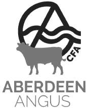 CFA ABERDEEN ANGUS