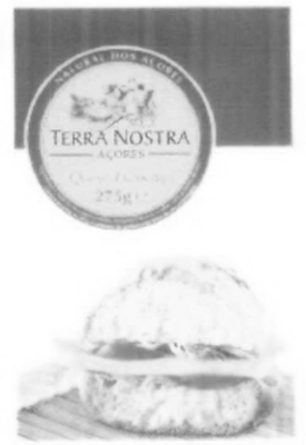 TERRA NOSTRA AÇORES QUEIJO FLAMENGO 275 G