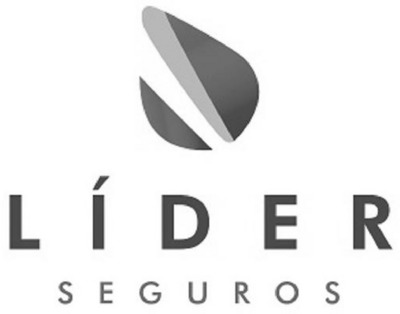 LÍDER SEGUROS