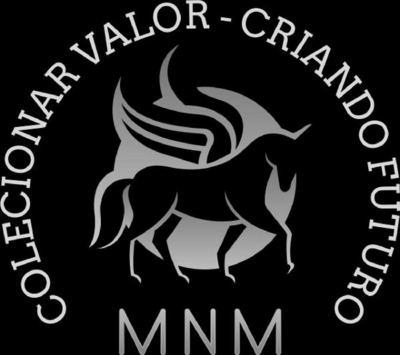 MNM COLECIONAR VALOR CRIANDO FUTURO