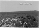 PROPERTIES