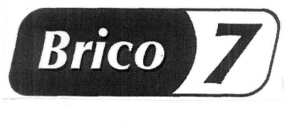 BRICO 7