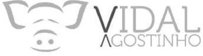 VIDAL AGOSTINHO