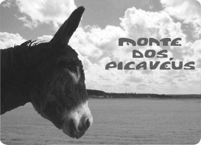 MONTE DOS PICAVÉUS