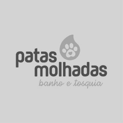 PATAS MOLHADAS BANHO E TOSQUIA