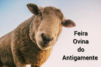 FEIRA OVINA DO ANTIGAMENTE