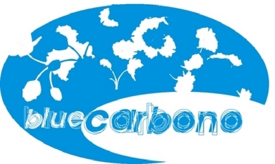 BLUE CARBONO